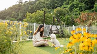 Gapyeong Ddobagi Pet & Spa Glamping - 2