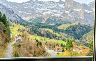 Chalet Engelberg Mountain View - 9