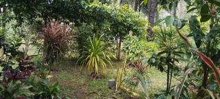 Mada Lanta Mai Keaw - 3