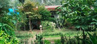 Mada Lanta Mai Keaw - 4