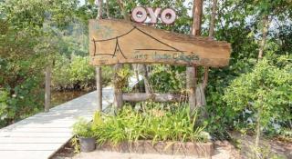 OYO 693 Tree House Cottage - 7