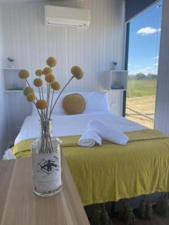 Billy Button by Tiny Away - 6