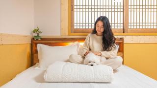 Gyeongju gampo byeolbit hanok Pension - 8