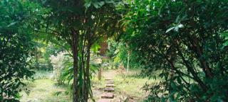 Mada Lanta Mai Keaw - 7