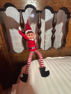 Cabana Patru Anotimpuri - 8