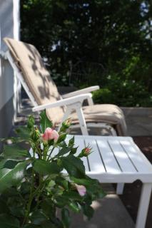 Apartment Sonnenschein in Fulda - 8