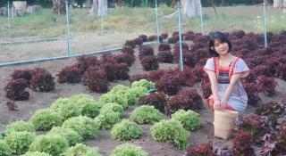 Nai Khun Khao Resort - 6