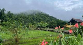 Nai Khun Khao Resort - 5