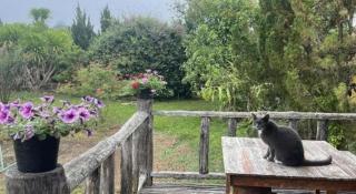 Nai Khun Khao Resort - 3