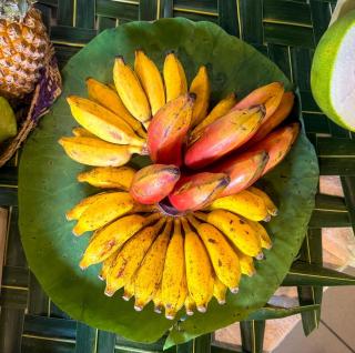 Ayurveda Spring Of Life Resort - 8