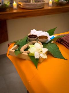 Ayurveda Spring Of Life Resort - 6