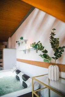 SPA Loft Apartment Palmovka - 3