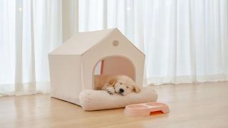 gyeongju planb pet pension - 9