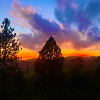 Eco Cabana Bellwood Kandy - 6