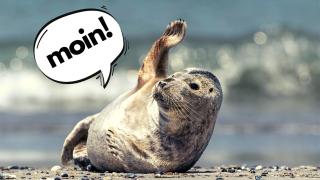 Ferienhaus "Otto's Hüs " - 0