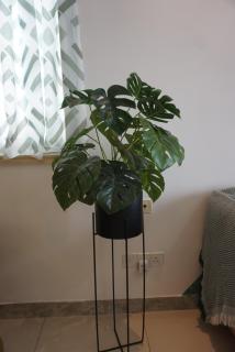 Royale city and sea view - 7