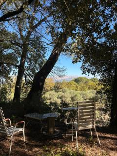 Maison de famille en campagne entre Aix et Marseille - 4