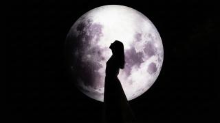 Gapyeong Cheongchun Glamping & Caravan - 2