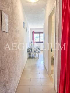 Pesciolino Rosso - 3