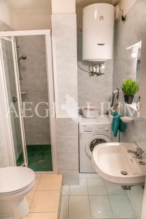 Pesciolino Rosso - Giglio Campese - 2