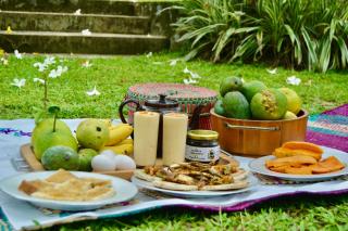 EcoBlueprint Garden - 4