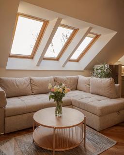 Spacious & Sunny Loft in Prestigious Quiet Centre - 7