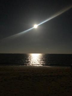 Beach Gardens Thasala - 9