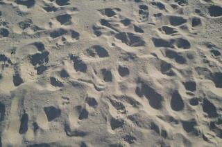 Beach Gardens Thasala - 8