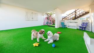 Taean anmyeondo hwangdo ilmare Pension - 0