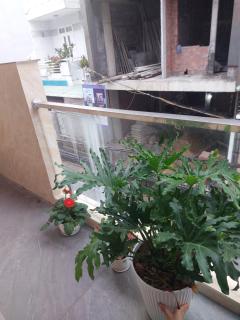 An Thịnh Apartment big room 1 bed with kitchen - 6