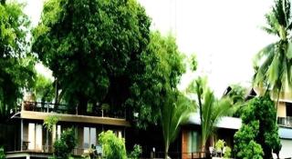 P&P Coffee & Resort Maesariang - 6