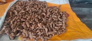 Sthala Organic Farm Stay - 2