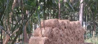 Sthala Organic Farm Stay - Nallepilli - 4