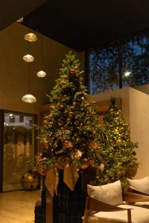 M Boutique Hotel - Designed for Adults - 7