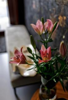 GRYF LUX Apartments in Old Town - 4