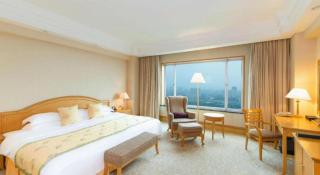 Grand Metropark Hotel Nanjing - 7