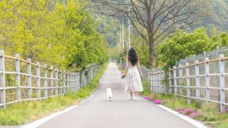 inje darani pet pension - 7