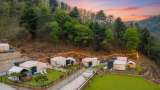 Gapyeong camp with pet & aegyeonglamping - 5
