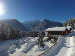 Nationalpark Chalet Reichenbergerspitze - Neukirchen am Großvenediger - 7