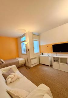 Appartement Cosy sur la Prestigieuse rue Faidherbe, à deux pas de la gare Lille Flandre - 2