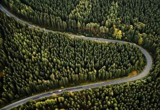 Ferienhaus am Flugplatz, umgeben von Natur - 8