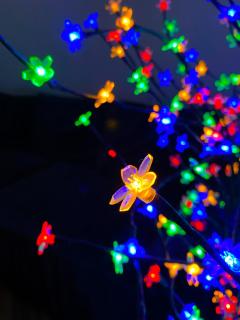 Kyiv Scandi Apartment - 5