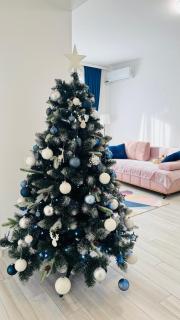 Karra Residence Timisoara - autorizat Ministerul Turismului - Timişoara - 0