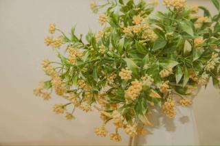 2 Bedroom House - Villa Teremoana - 5