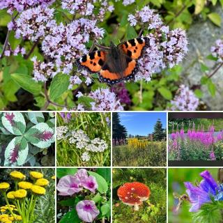 A Cozy Nordic Home - 2