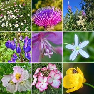 A Cozy Nordic Home - 1