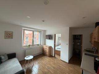 ApartmentsByMatyrafa-XIV - Tarnowskie Góry - 8