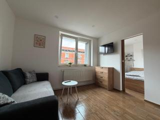 ApartmentsByMatyrafa-XIV - Tarnowskie Góry - 7