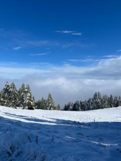 Seeblick mit Charme in der Villa Hirschfisch - 4