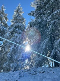 Seeblick mit Charme in der Villa Hirschfisch - 3